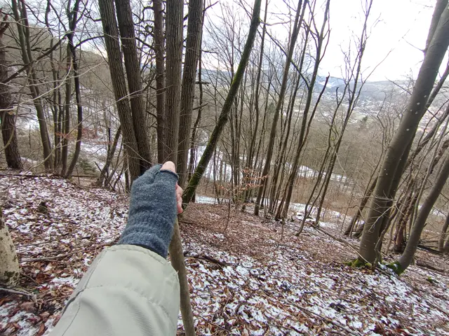 Моя рука з палицею і горизонт